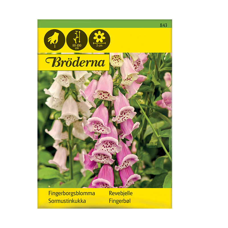 Nelson Garden Fröpåse Fingerborgsblomma, Mix