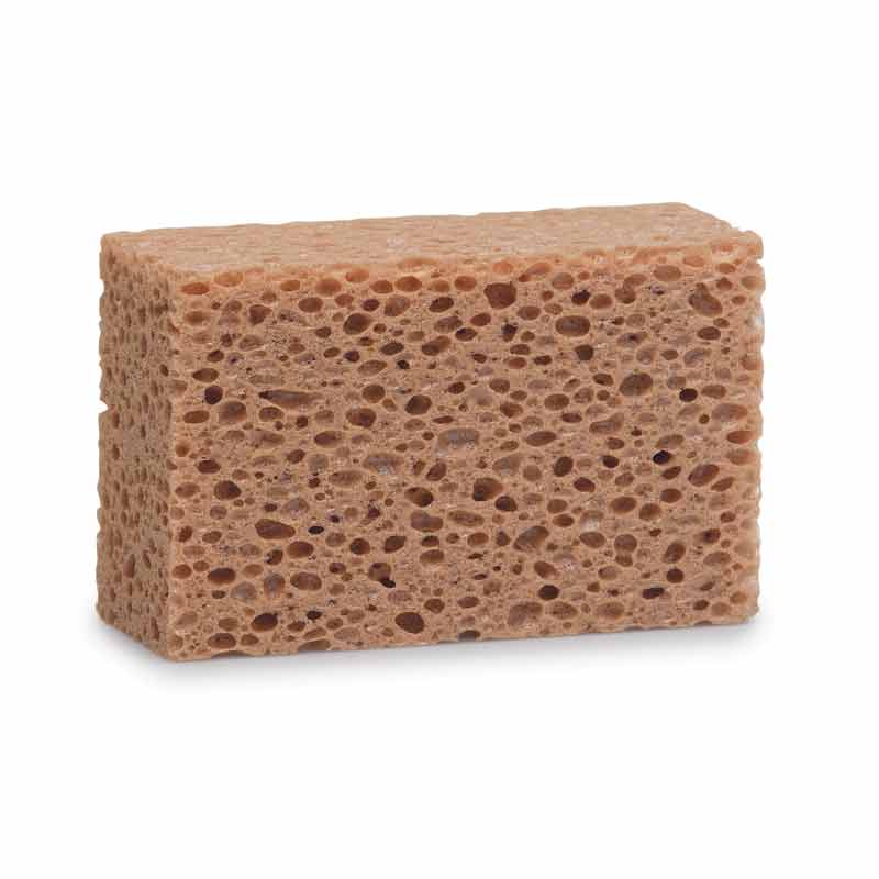 Tvättsvamp