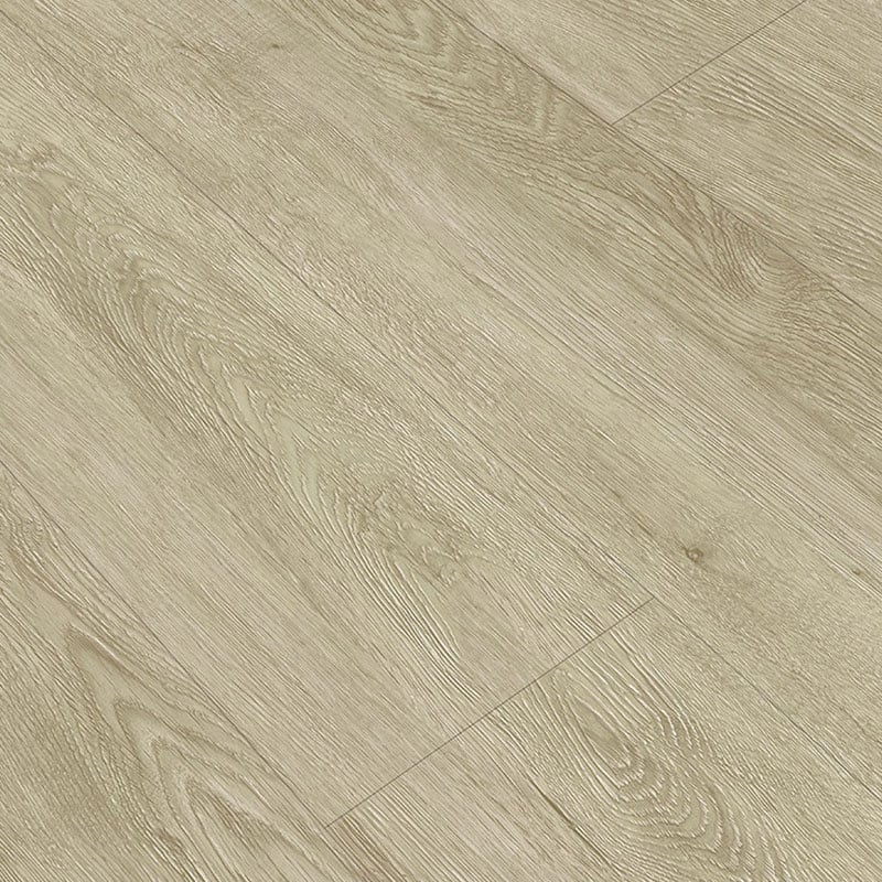 World Of Spc Golvprov Brandon Oak 4 Mm  30,5x22,9 Cm