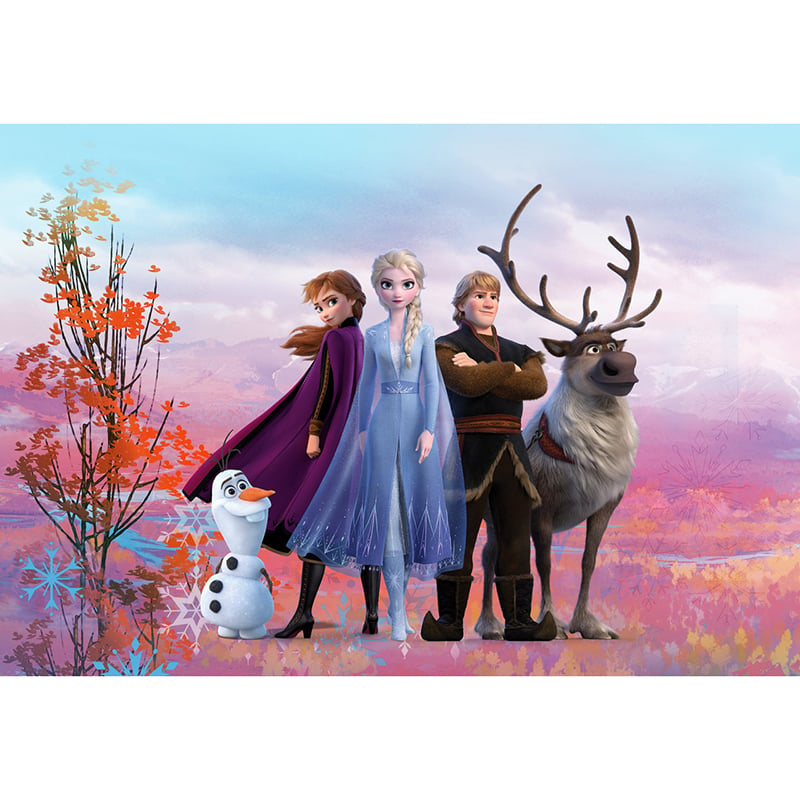 Billiga Barntapet Disney Frozen 2 Iconic Komar online på nätet
