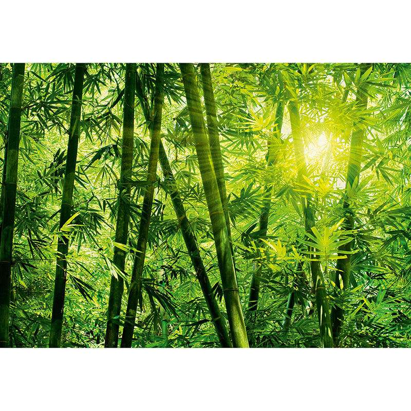 Billiga Tapet Bamboo Forest W+G online på nätet