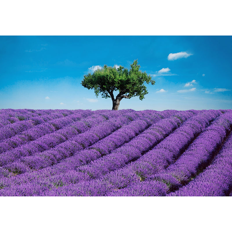 Billiga Tapet Provence 144  W+G online på nätet
