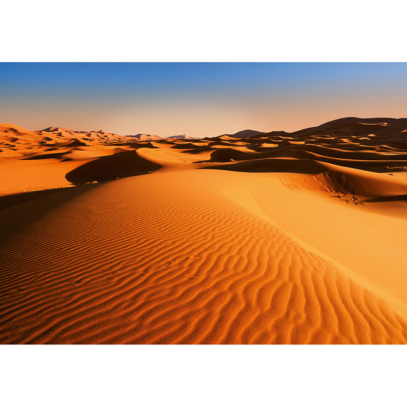 Billiga Tapet Desert Landscape W+G online på nätet