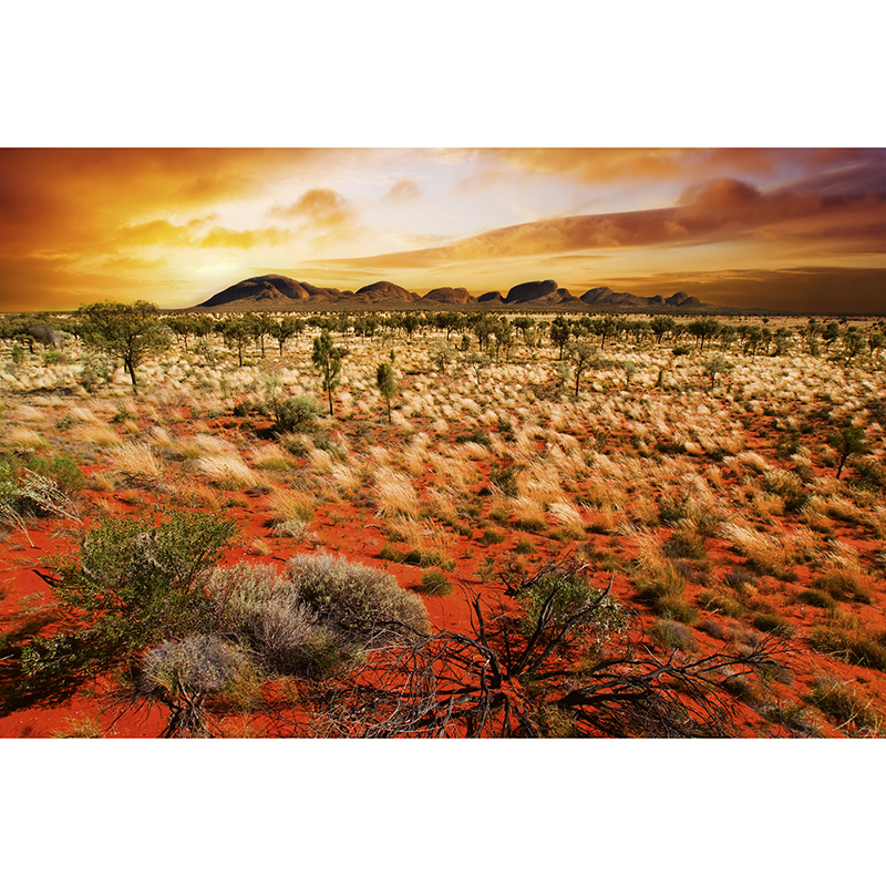 Billiga Tapet Australian Landscape Dimex online på nätet