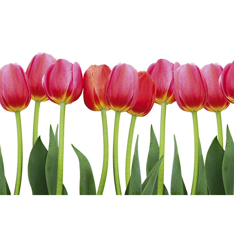 Billiga Tapet Bed Of Tulips Dimex online på nätet
