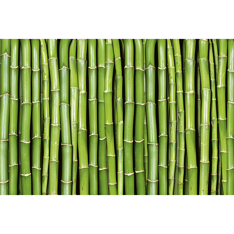 Billiga Tapet Bamboo Dimex online på nätet