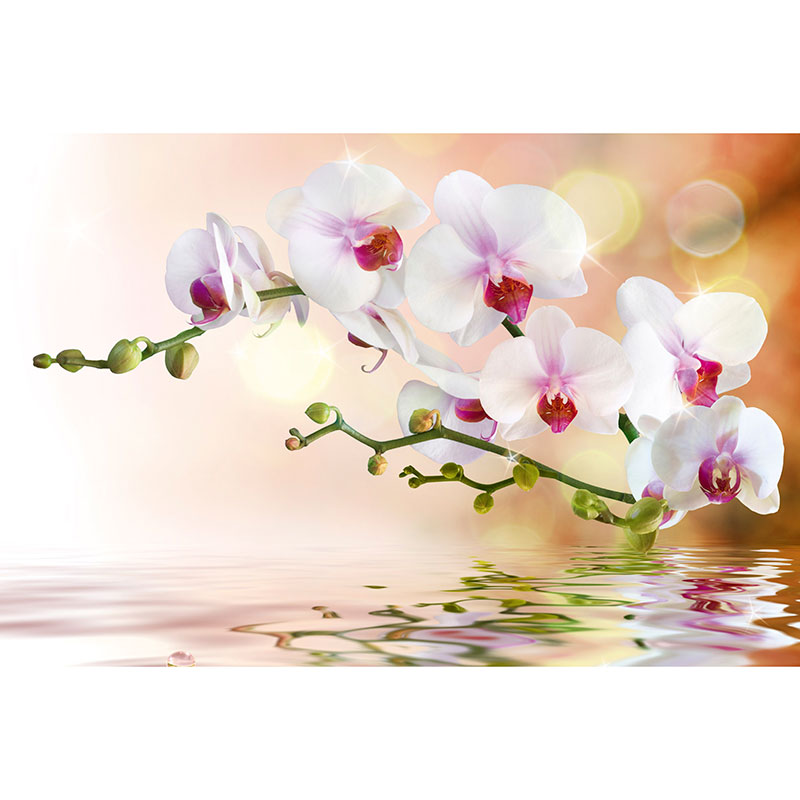 Billiga Tapet White Orchid Dimex online på nätet