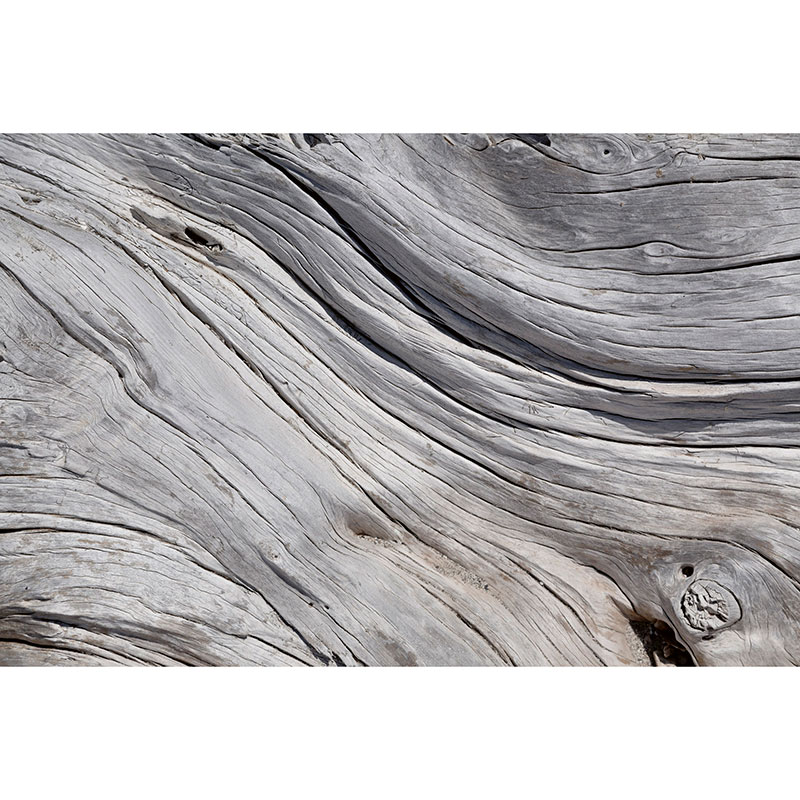 Billiga Tapet Tree Texture Dimex online på nätet