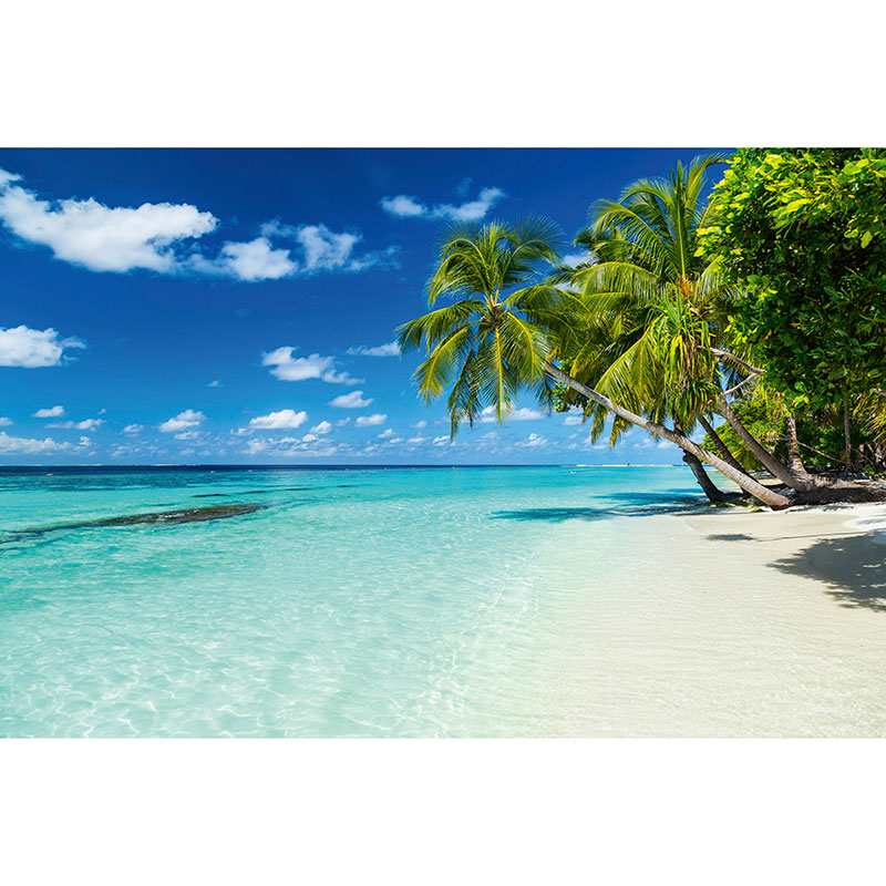 Billiga Tapet Paradise Beach Dimex online på nätet