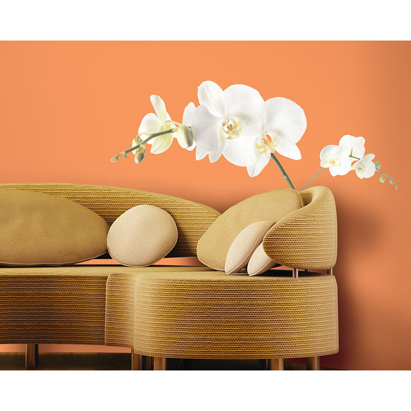 Billiga Väggdekor White Orchid Roommates online på nätet