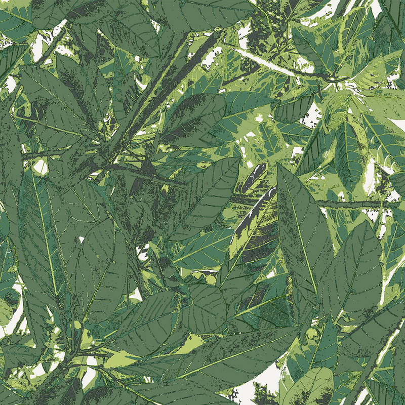 Decor Maison Tapet Belle Non Woven Modern Djur/natur 006 Decor Maison Grön