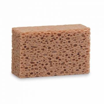 Tvättsvamp