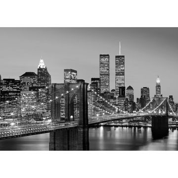 Fototapet Manhattan Skyline at Night W+G