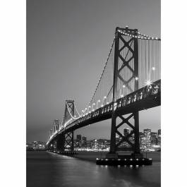 Fototapet San Francisco Skyline W+G