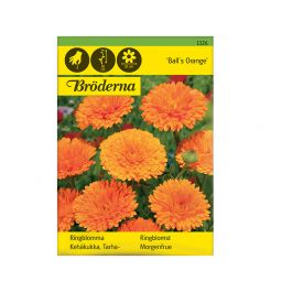 Fröpåse Ringblomma, Ball´s Orange