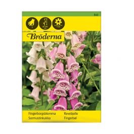 Fröpåse Fingerborgsblomma, mix