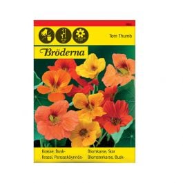 Fröpåse Krasse, Busk-, Tom Thumb, mix