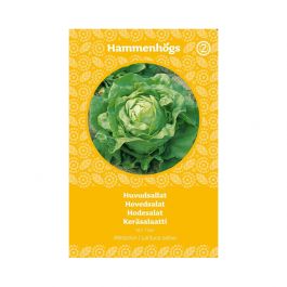 Fröpåse Huvudsallat