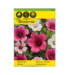 Malva, Prakt-, mix
