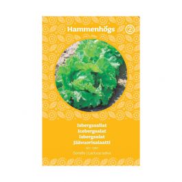 Fröpåse Isbergssallat