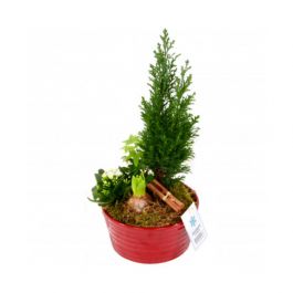 Julgrupp 4-plants mix