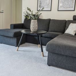 Heltäckningsmatta Tivoli Silvervit