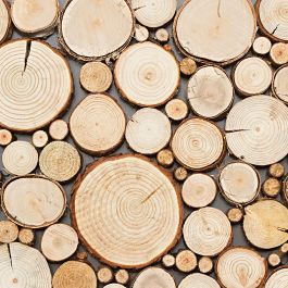 Dekorpanel Wood Pure 1