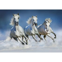 Billiga Tapet Arabian Horses W+G online på nätet