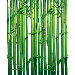 Billiga Tapet Bamboo 421 W+G online på nätet
