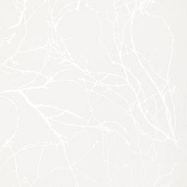 Tapet Vallila Kompassi Träd 4978-1 Paintpart
