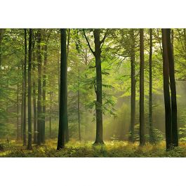 Fototapet Autumn Forest W+G