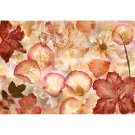 Fototapet Non woven Dried Flowers W+G