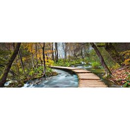 Fototapet Path into the Forest W+G
