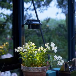LED-lampa Solar till växthus Juliana
