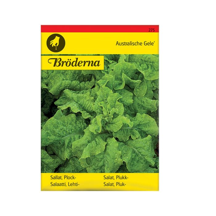 Produktbild Produktbild