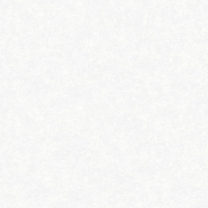 Tapetprov Home NW Concrete Gloss Fiona