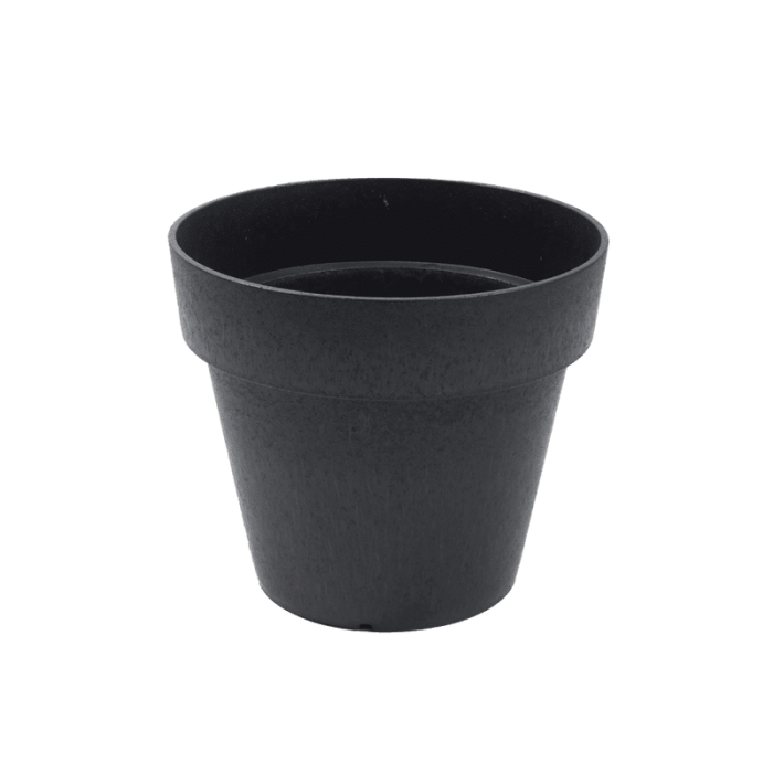 Blomkruka Bariton Recal