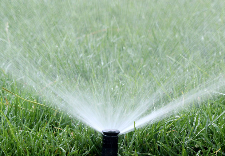 Bevattning för trädgården – hitta bästa lösningen för din trädgård