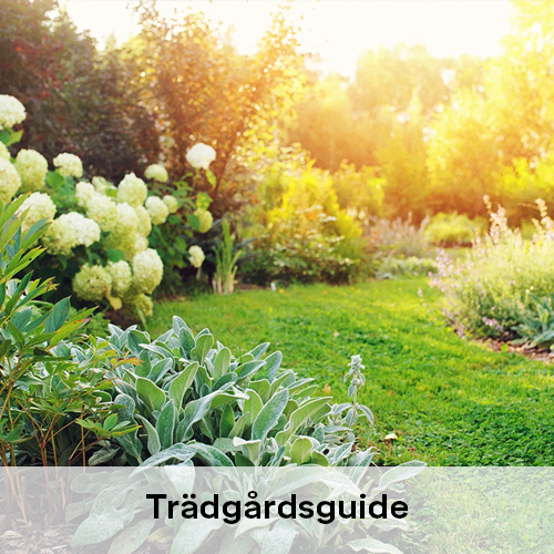 Trädgårdsguide | Byggmax