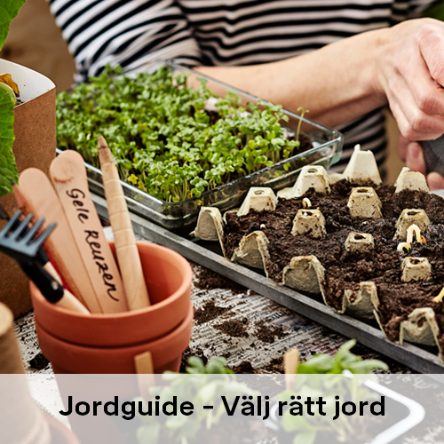 Vilken jord till vad | Byggmax