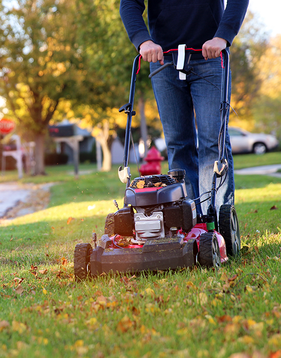 Klipp så länge det växer | Byggmax Klipp så länge det växer | Byggmax