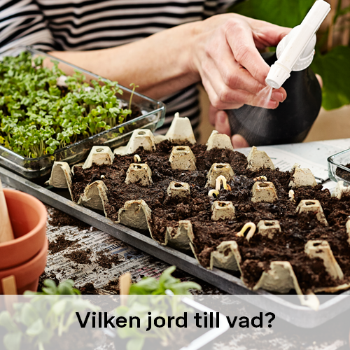 Vilken jord till vad | Byggmax